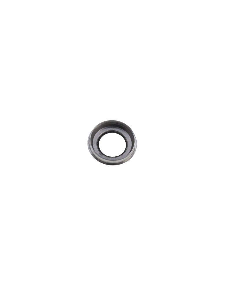 Geam Camera Apple iPhone 6 Argintie