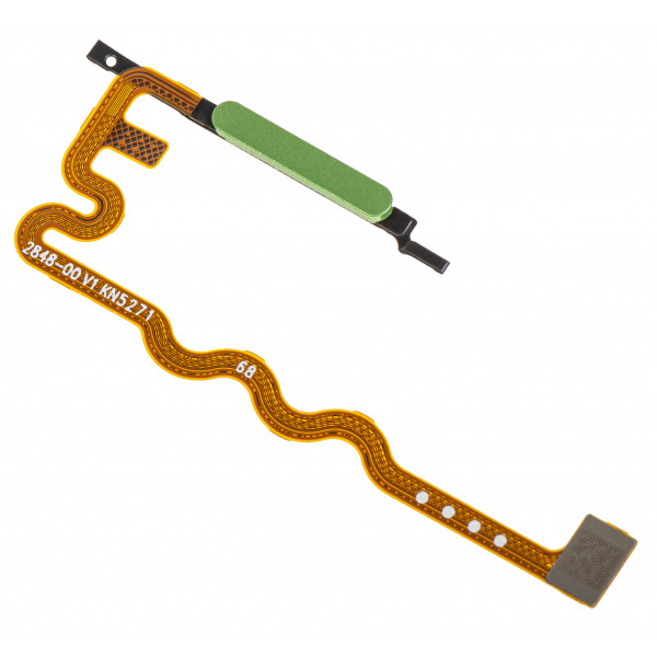 Verde (Tendril)